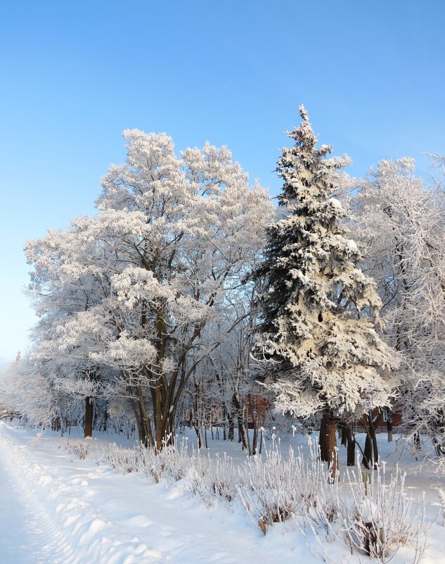 Зима в городе - Андрей Снегерёв