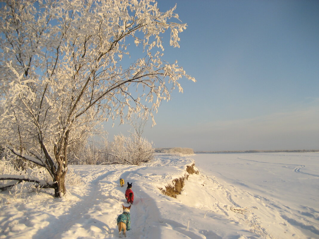 Зима - Anna Ivanova