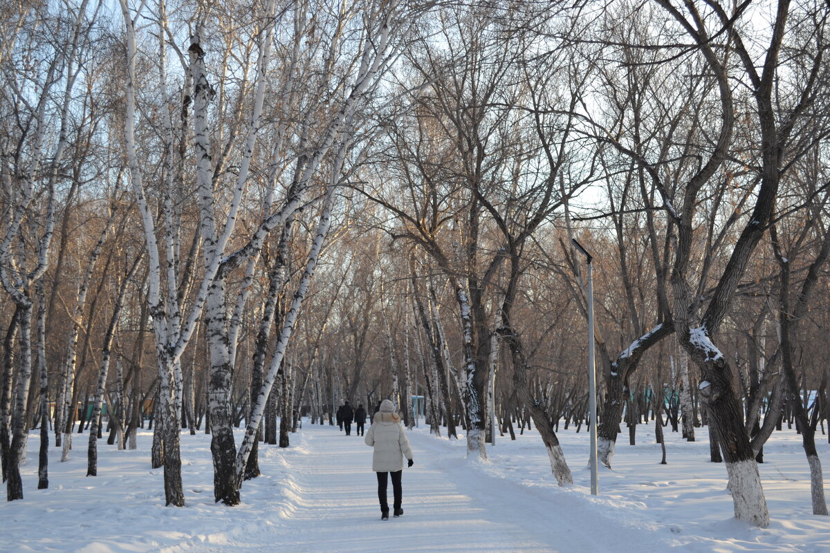 Прогуляться по парку.... - Андрей Хлопонин