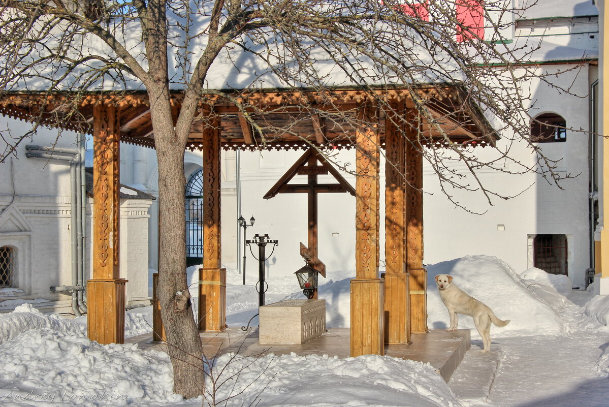 Белопесоцкий монастырь - Andrey Lomakin