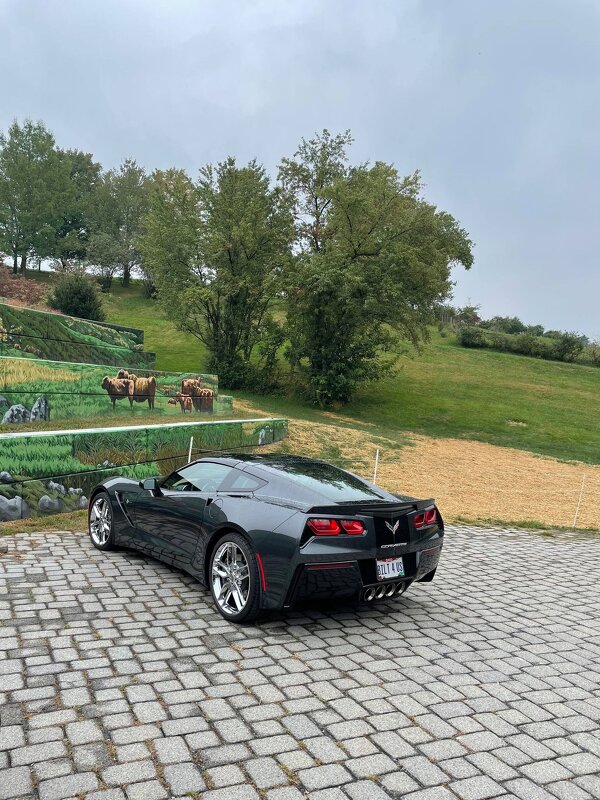 Chevrolet Corvette - Елена 