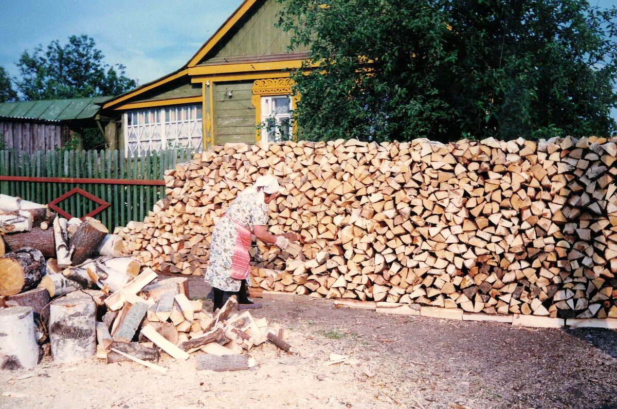 Заготовка дров. 90-е - Валерий Судачок