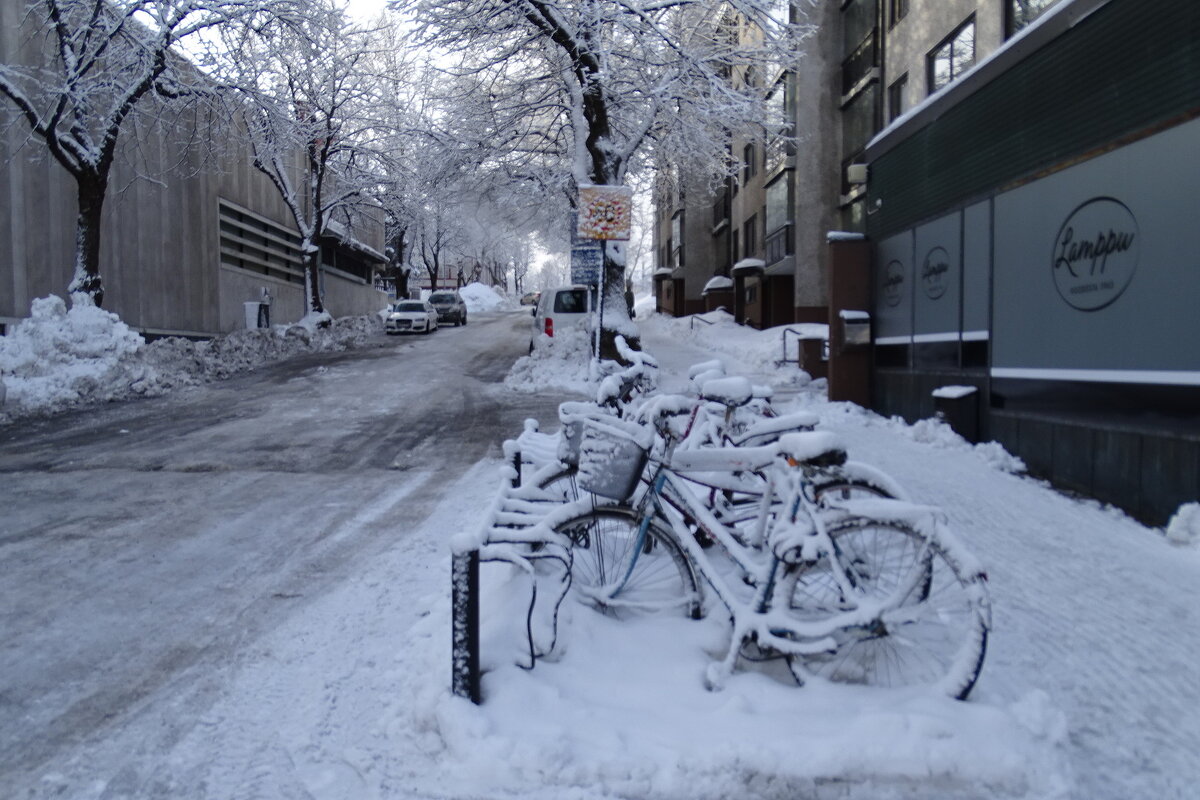 все в снегу, даже велосипеды - Anna-Sabina Anna-Sabina