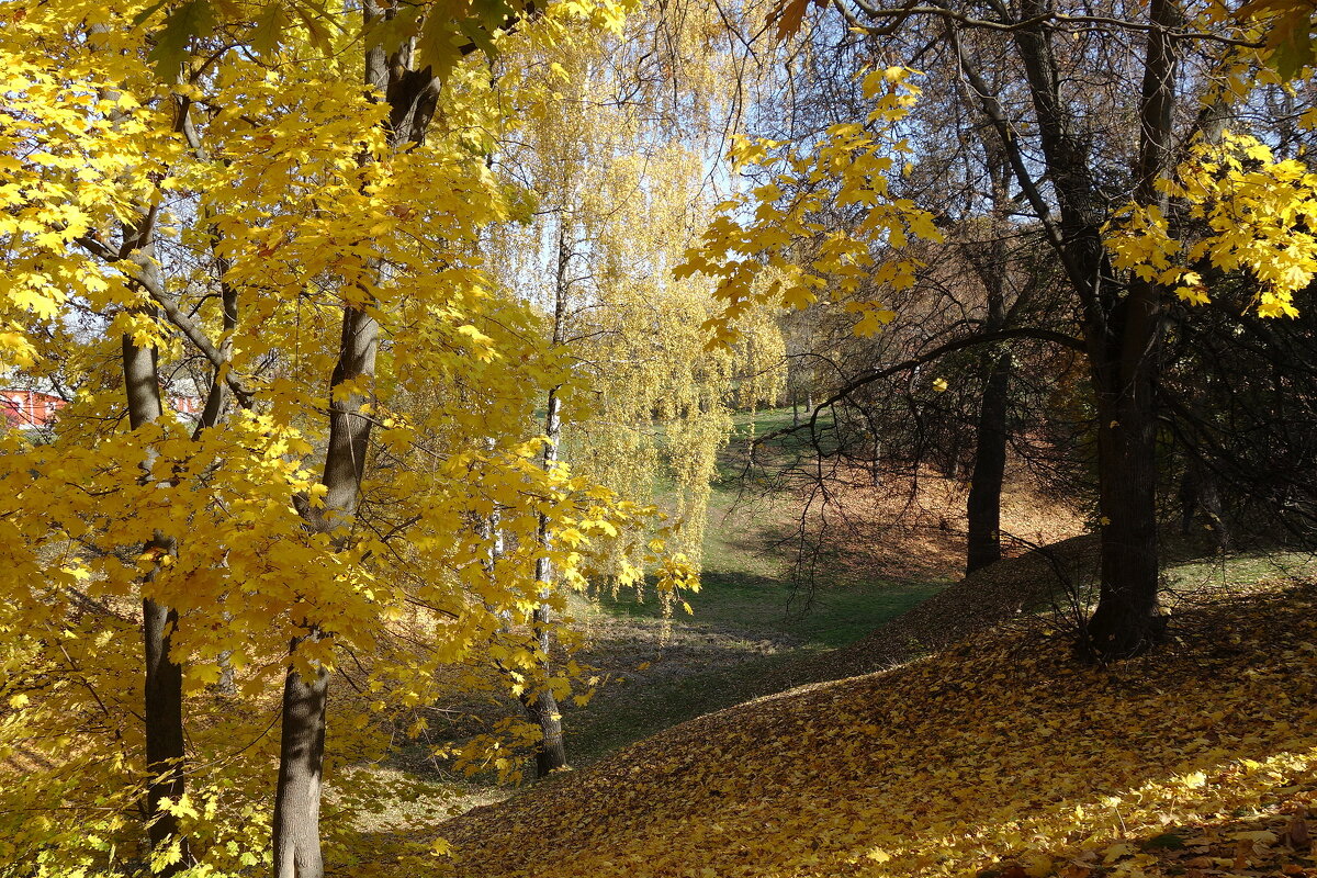 Музей-заповедник Царицыно - Маргарита Батырева