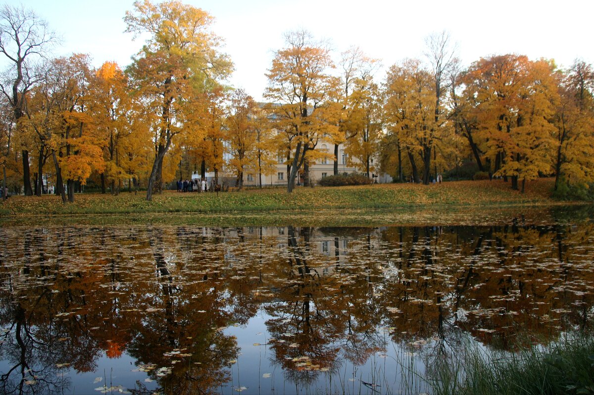 Про осень - Наталья Герасимова