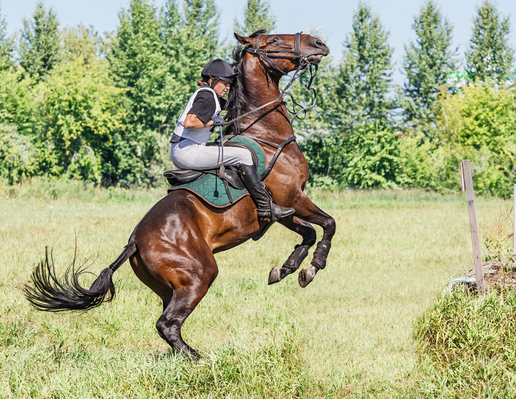 Кросс - SanSan 