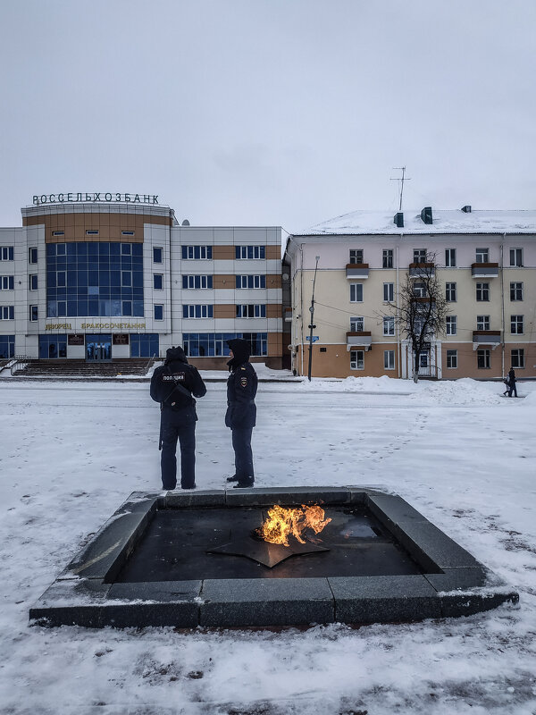 Полиция возле Вечного огня - Юлия Денискина