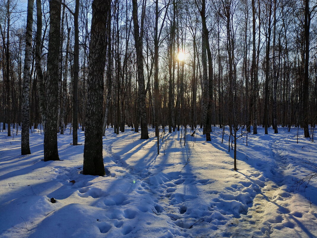 Последний день зимы - тема с вариациями - Андрей Лукьянов