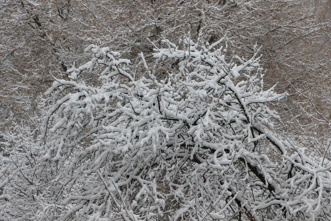 Снежный март за окном - Надежд@ Шавенкова