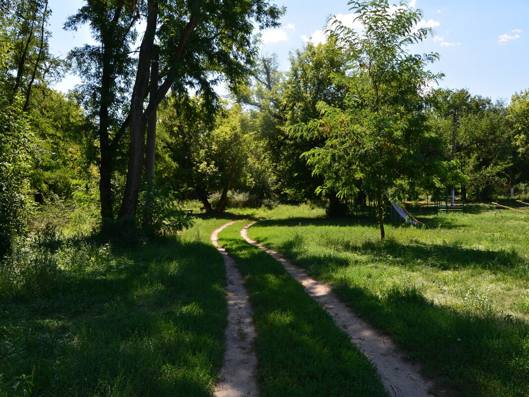 Каменск-Шахтинский. Дорога в парке имени Маяковского. - Пётр Чернега