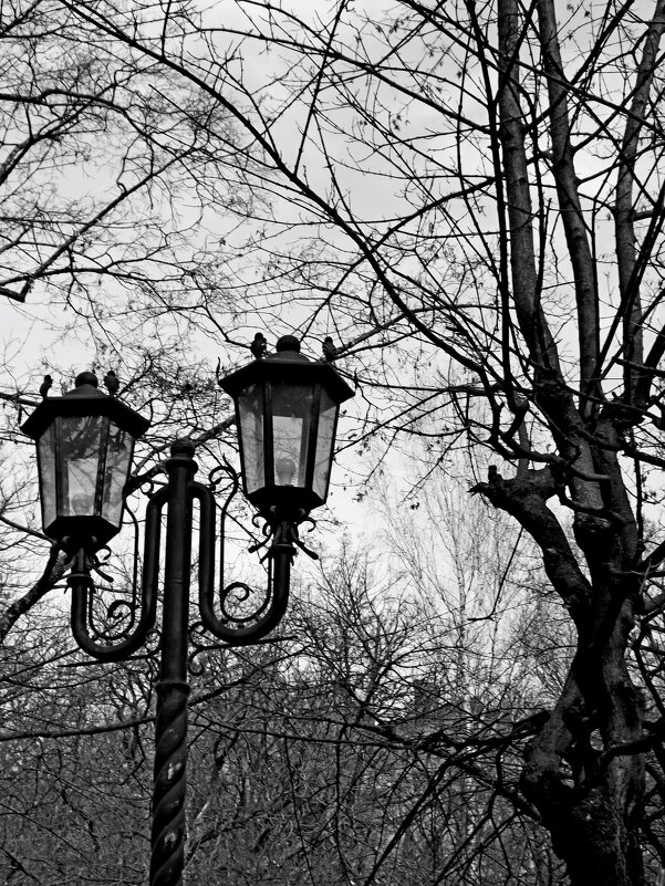 Аллейные фонари Старого парка... - Евгений 