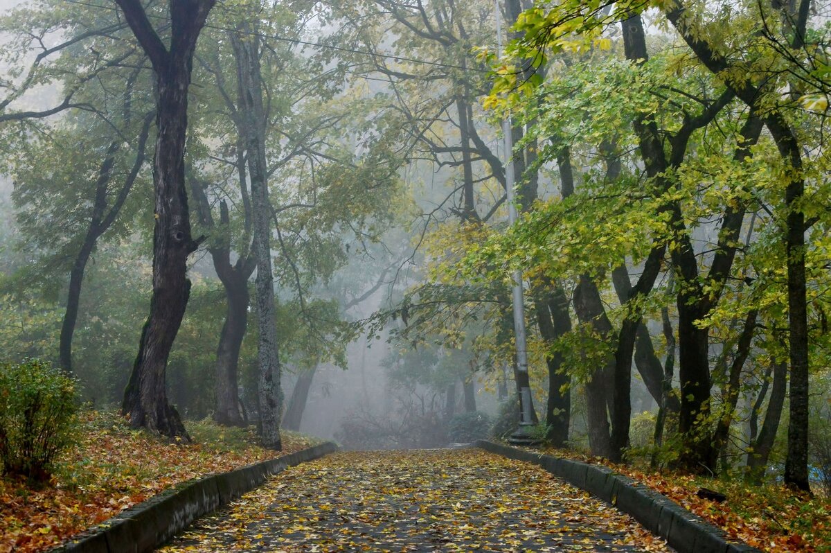 Листопад....... - Юрий Цыплятников