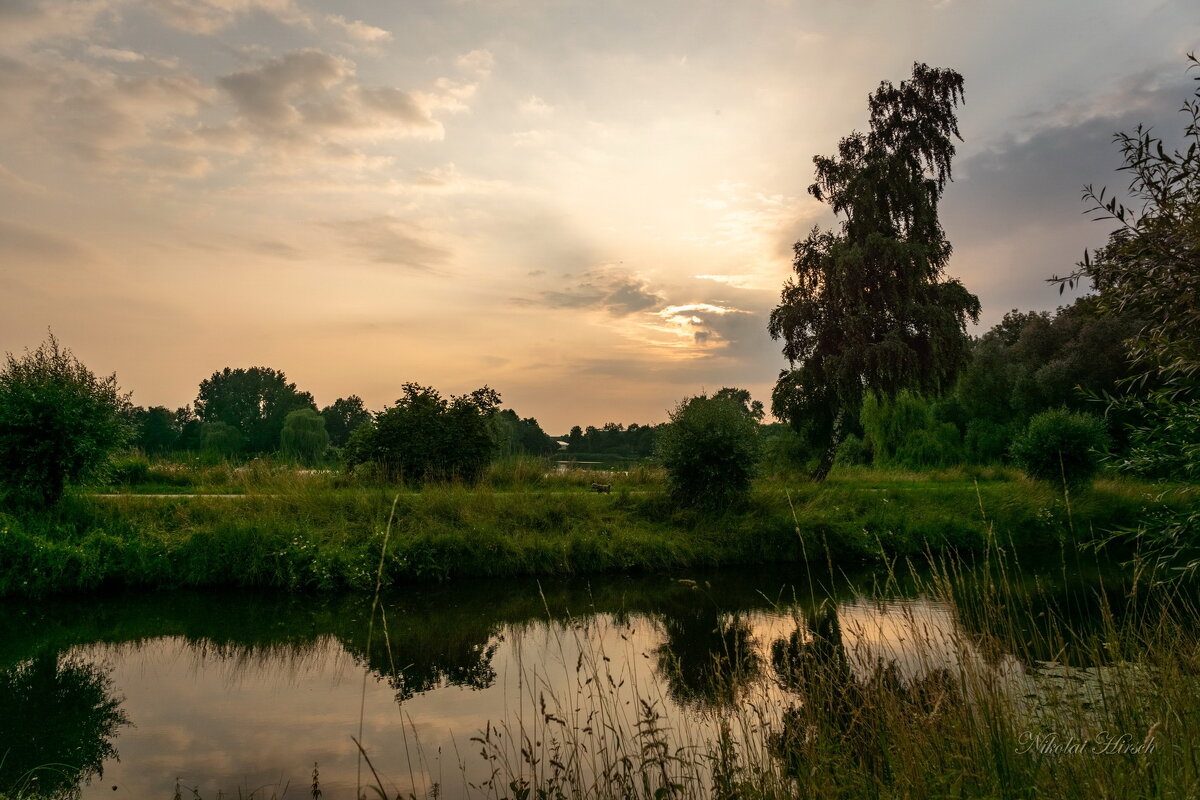 Пейзаж с вечерней берёзой - Николай Гирш