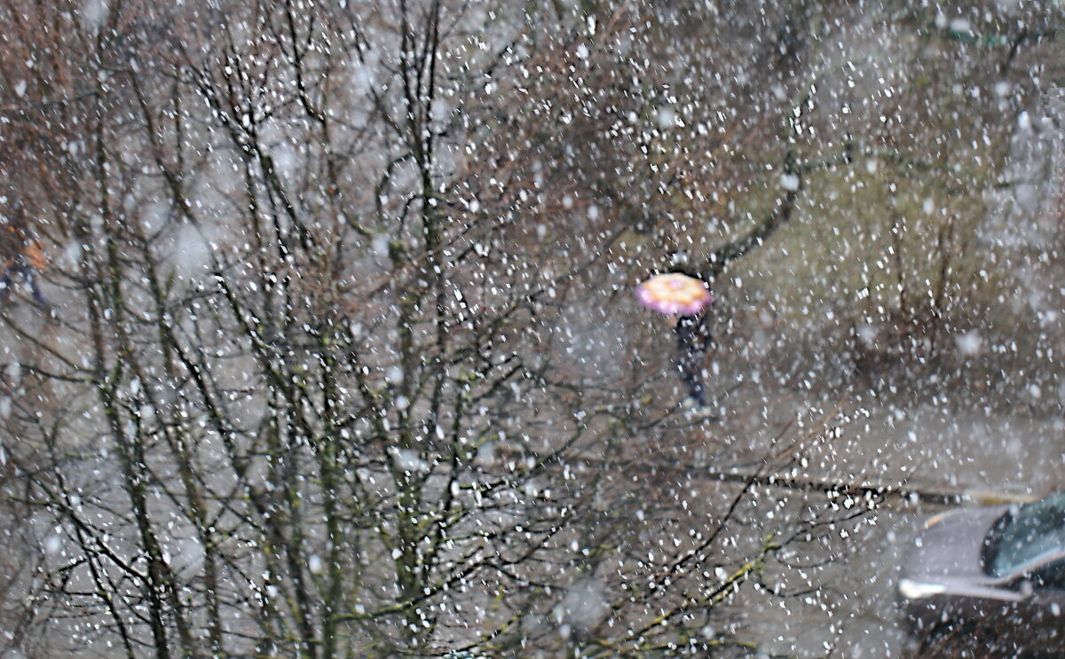 Дождь и снег, весна - ZNatasha -