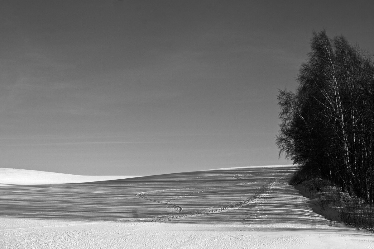 Послеполуденные тени - M Marikfoto