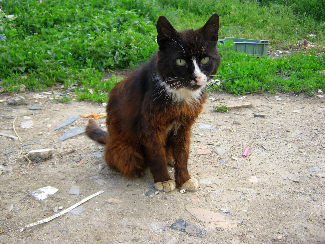 Бомж - Сергей Скорик