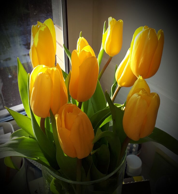 Желтые тюльпаны - Ирина 