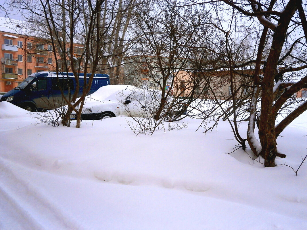 После снегопада - Алевтина 