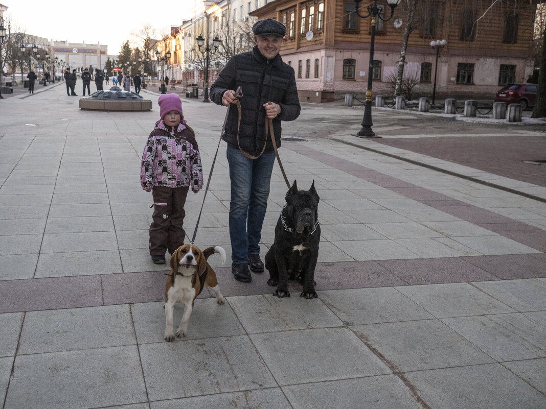 Собачий микст на бульваре Гагарина - Евгений 