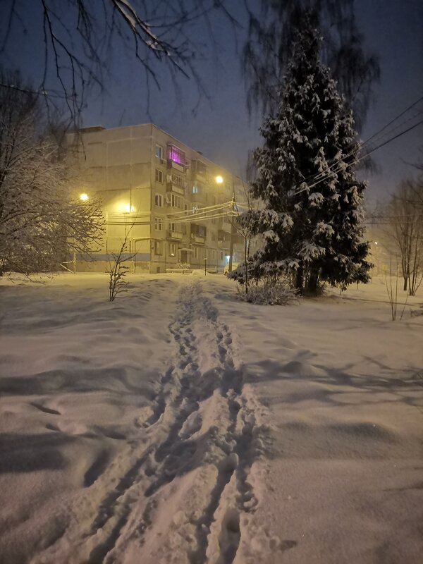 Снежный вечер - Алексей Домрин