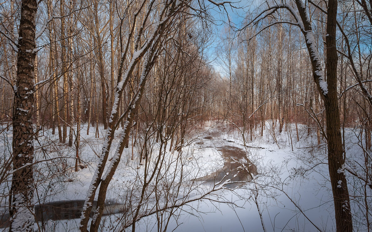 В зимнем лесу... - Сергей Кичигин