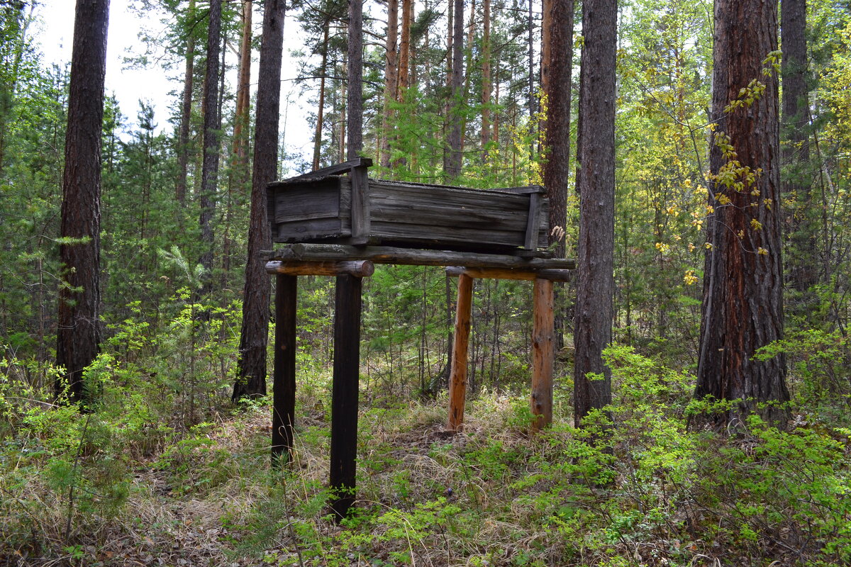 Лесные постройки в эвенкийской деревне - Ольга 