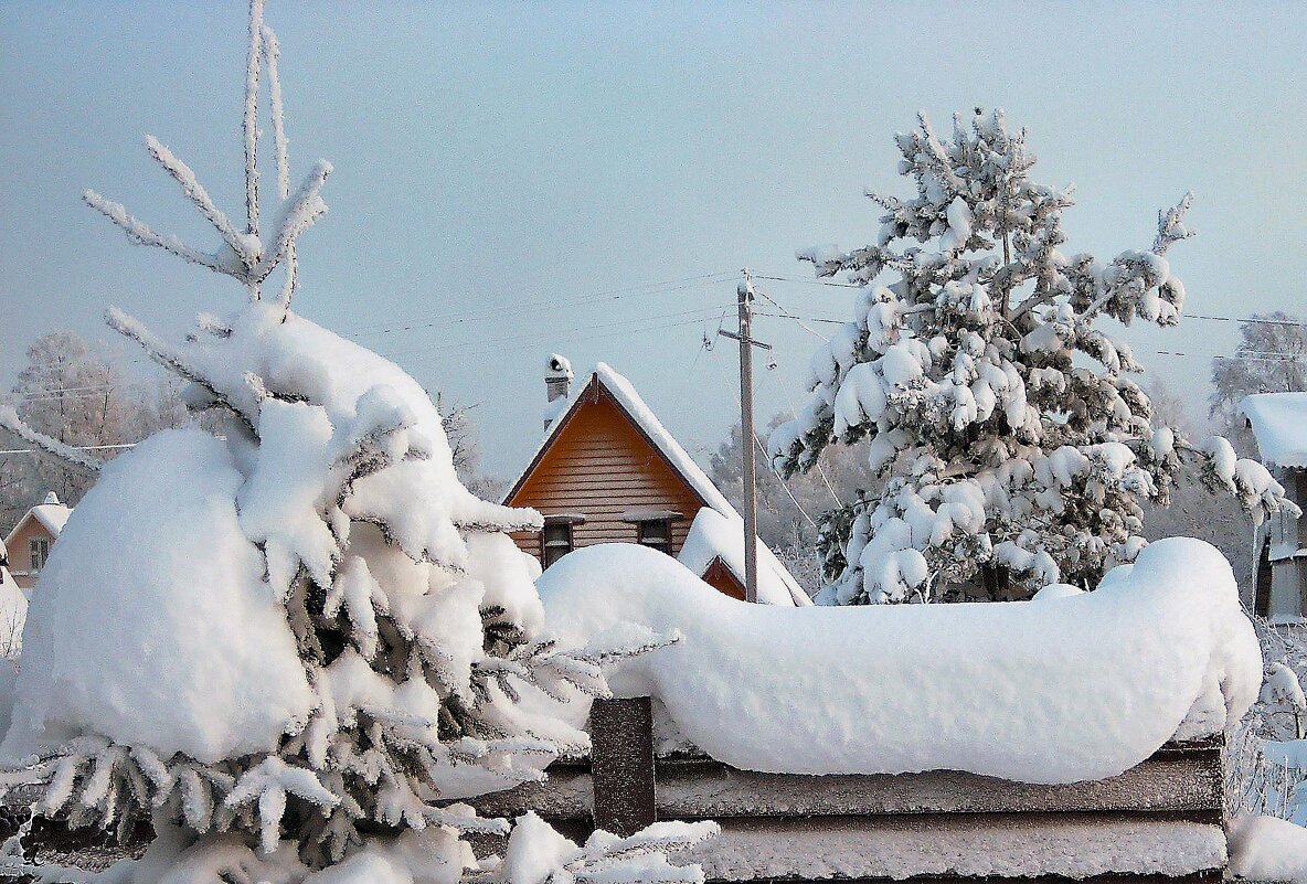 Снежное покрывало - Любовь Зинченко 
