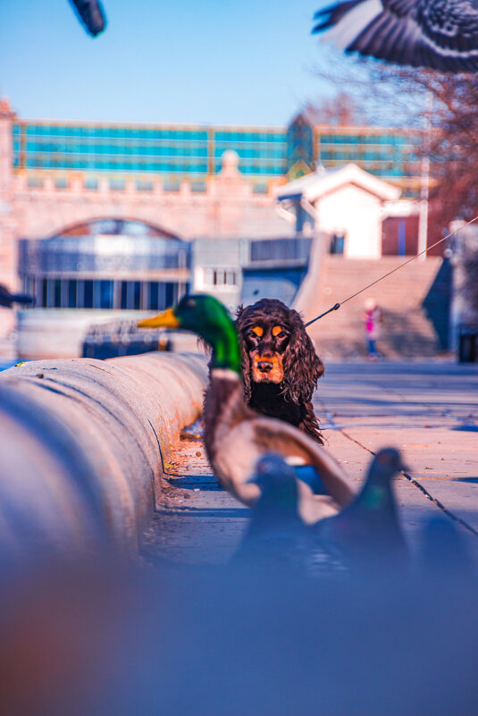 Встреча)) - Денис 1fotokot