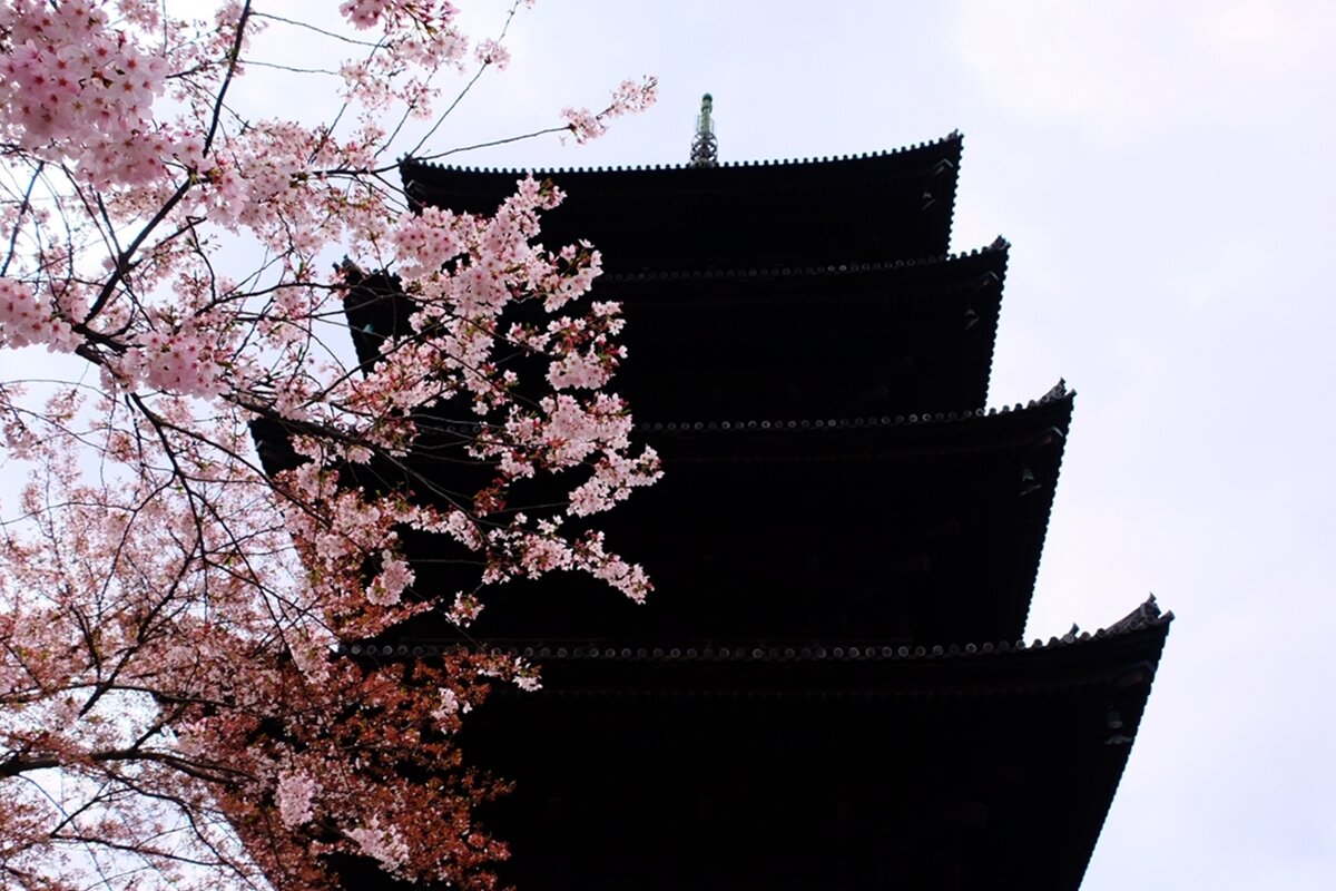 Пятиярусная пагода Тодзи To-ji Киото Япония - wea *
