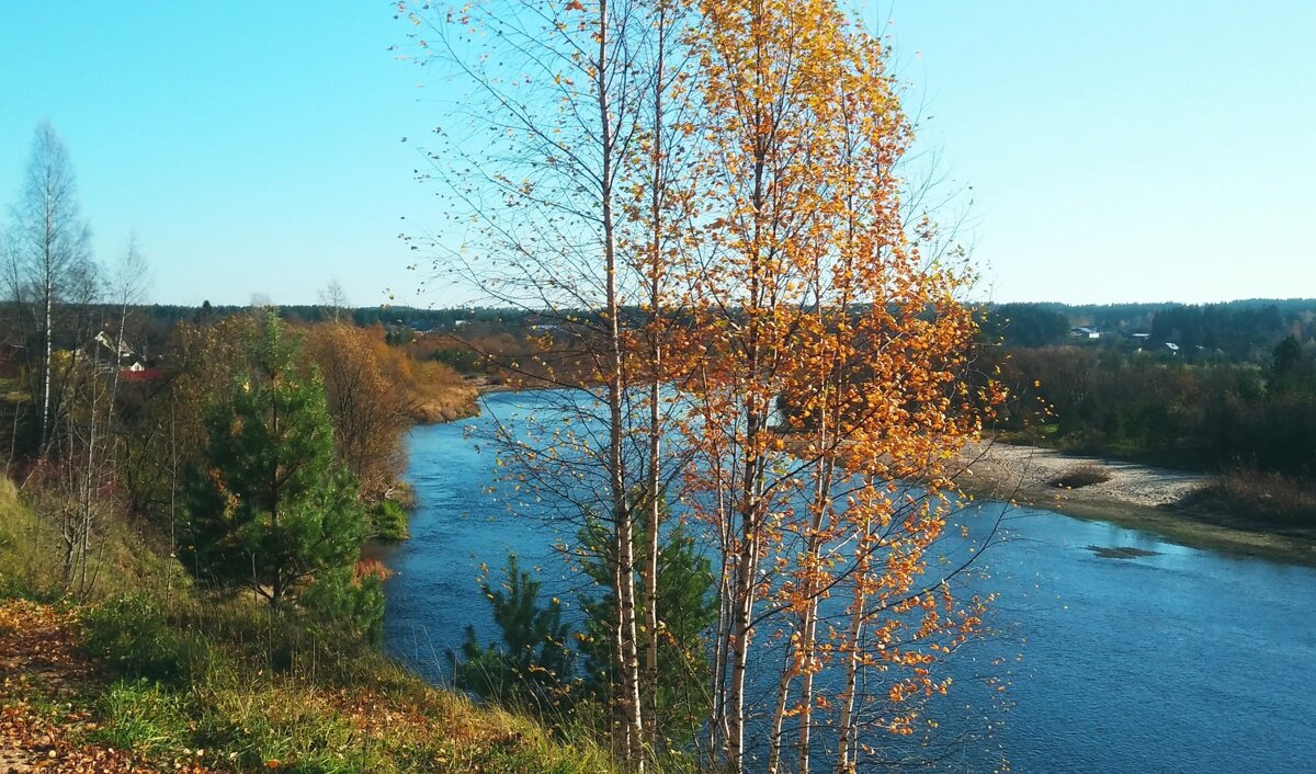 Яркая осень - Елена Байдакова