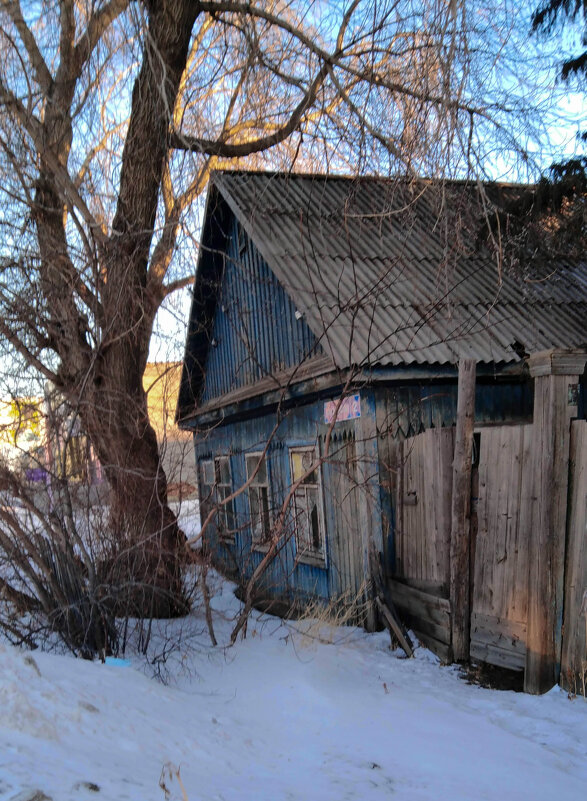 Деревенский дом - Ирина Алпацкая