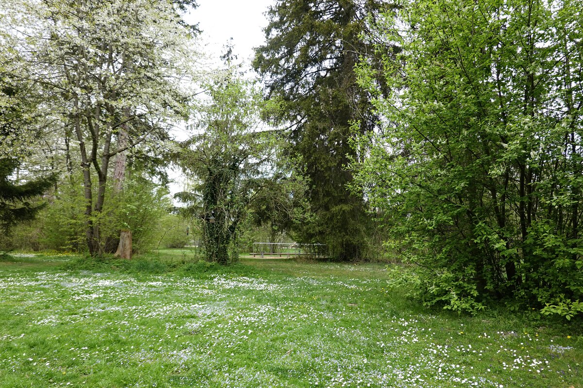 Пришла весна - цветет земля, Древа шумят в венцах зеленых, ...... - Galina Dzubina