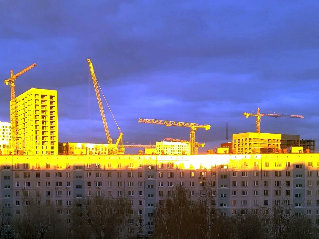 "Золото" заката - Ольга Довженко