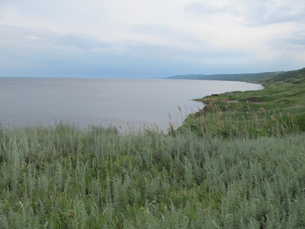 за городом - Елена Шаламова