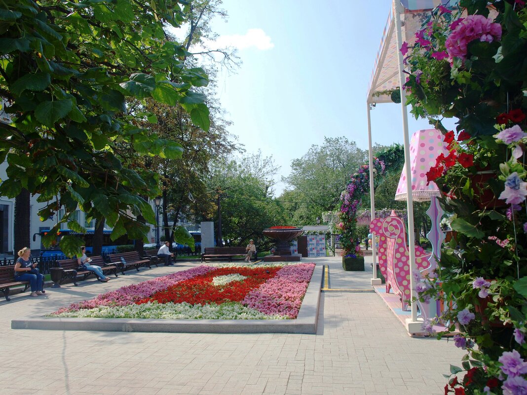 Я шагаю по Москве... - Владимир Драгунский