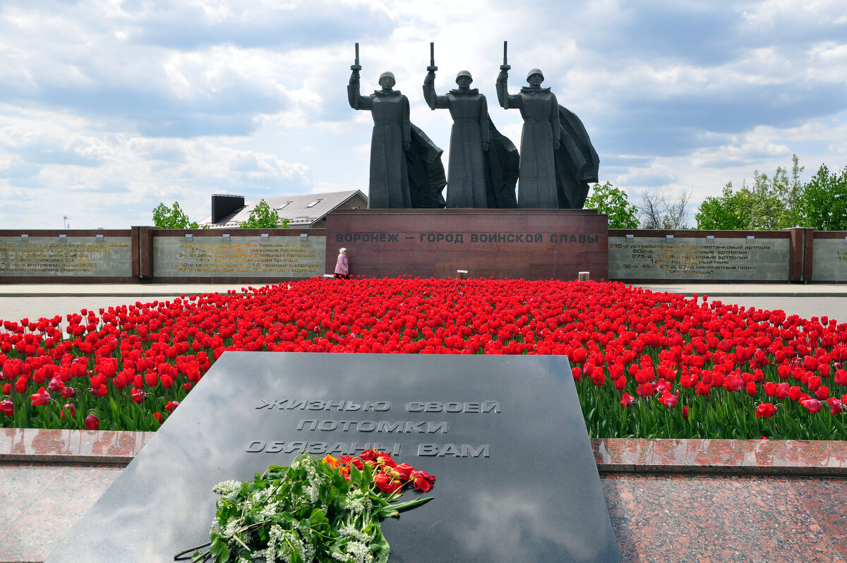 Памяти советских воинов, погибших в июле 1942 - январе 1943 г. на Чижовском плацдарме посвящается - Татьяна 