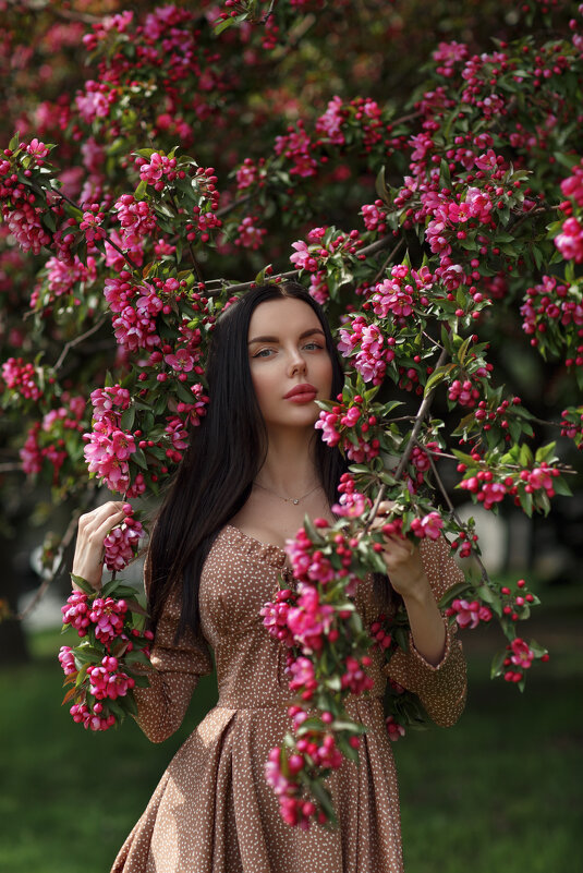 розовые яблони - Ольга Челышева