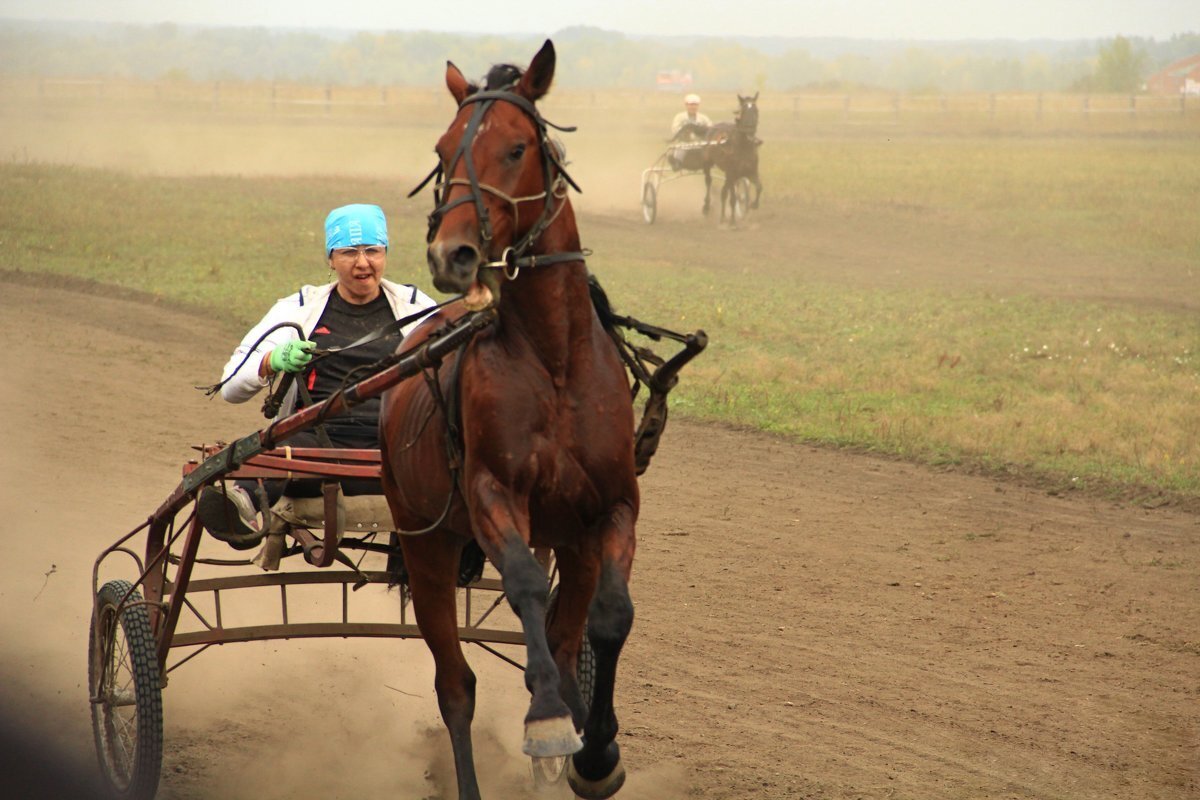 Коня  на скаку остановит - Владимир Кириченко