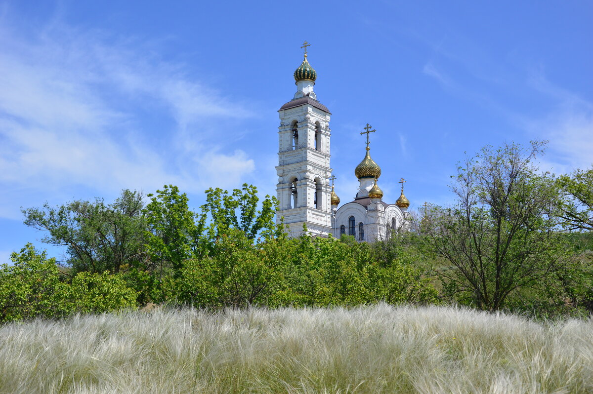 Ковыль. - Виктор 