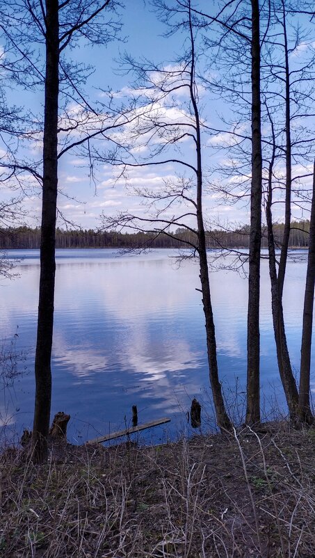 Озеро Светлояр - Elena Pantova