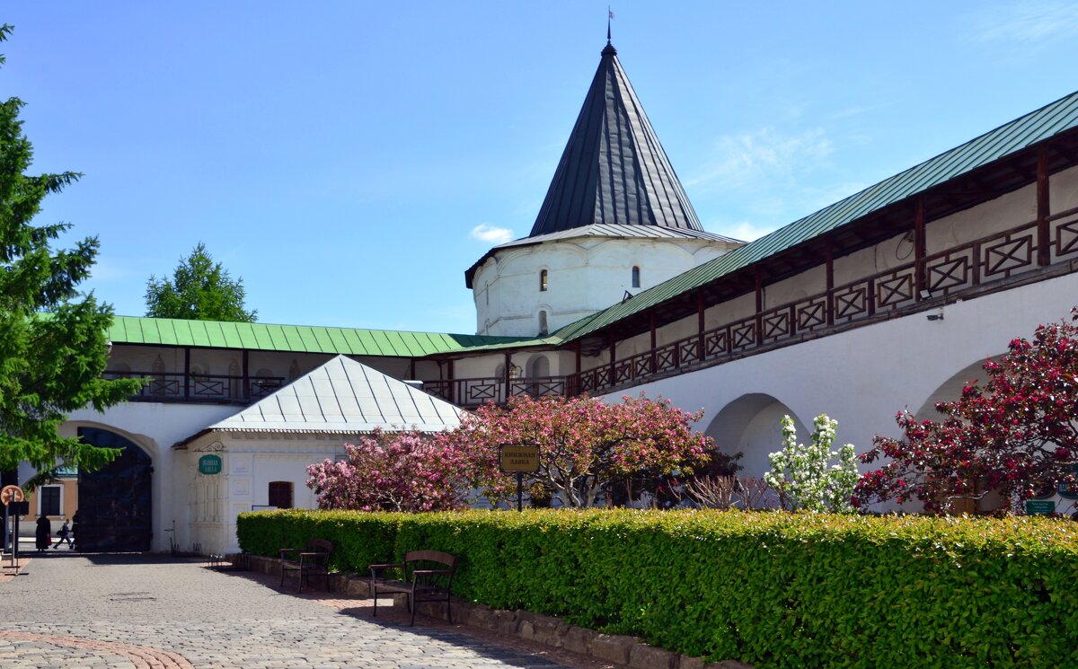 Новоспасский монастырь - Oleg4618 Шутченко