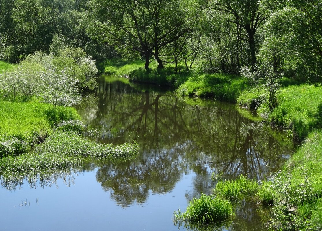 Горожанка - PRP 