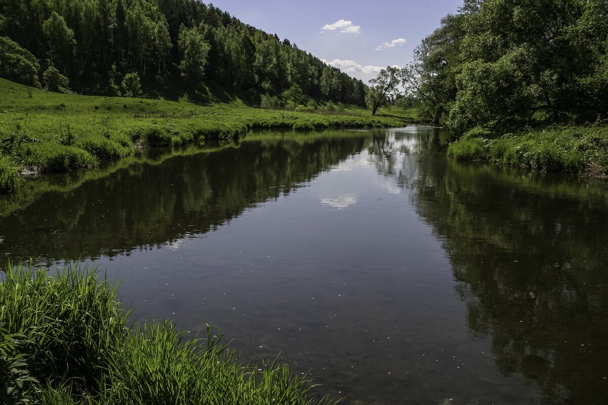 Река Вашана - Фотограф МК
