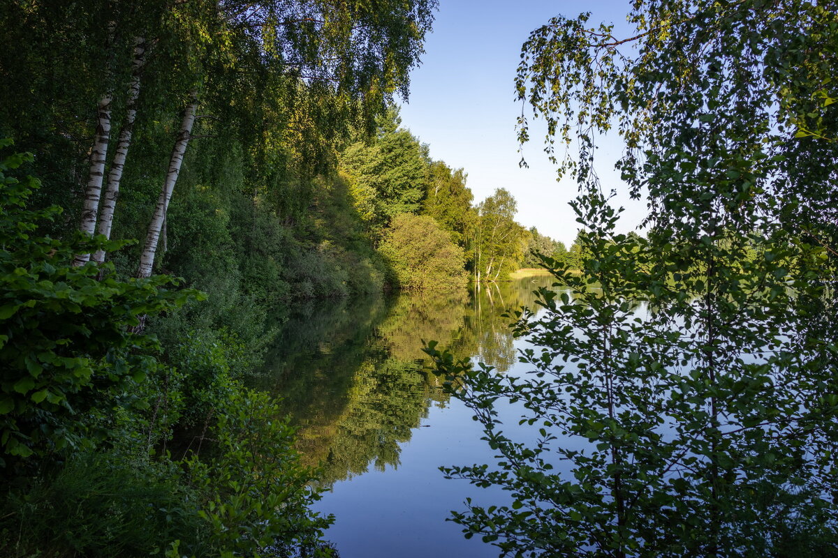 *** - Николай Гирш