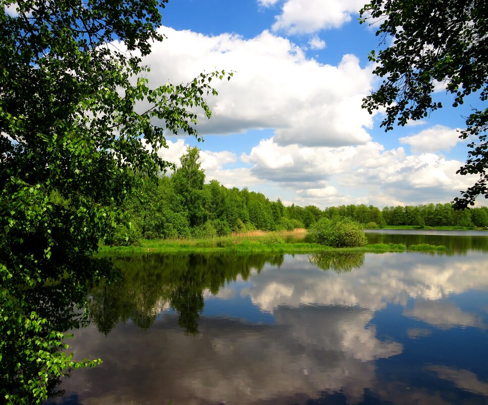 Озеро с отражением - Андрей Снегерёв