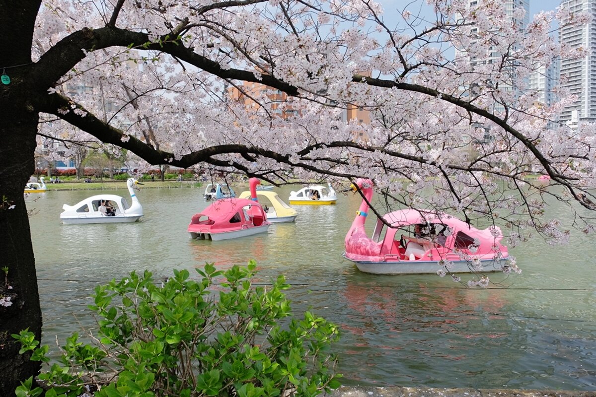 Токио Япония выходной в парке Уэно - wea *