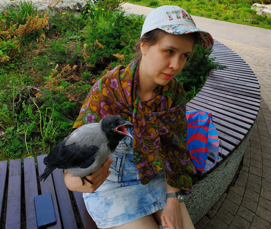 Дикая птица, которая может стать домашней - Андрей Лукьянов
