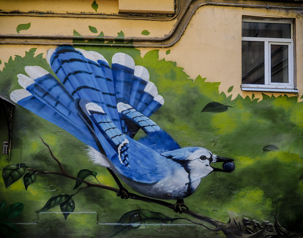 Граффити во дворах Санкт-Петербурга - Магомед .