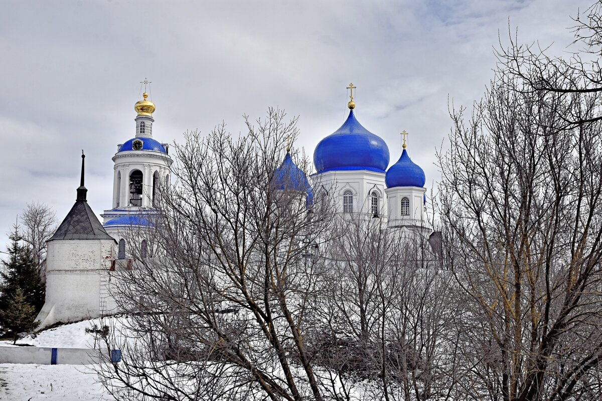 Свято- Боголюбский монастырь Рождества Богородицы - Дмитрий Лупандин