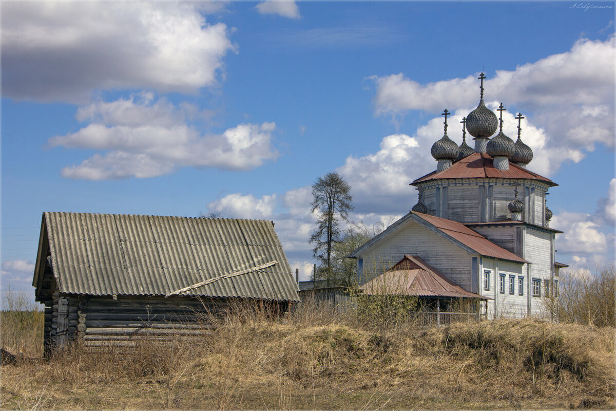 Архангельская область,  село Лядины. Богоявленская церковь, - Анастасия Северюхина